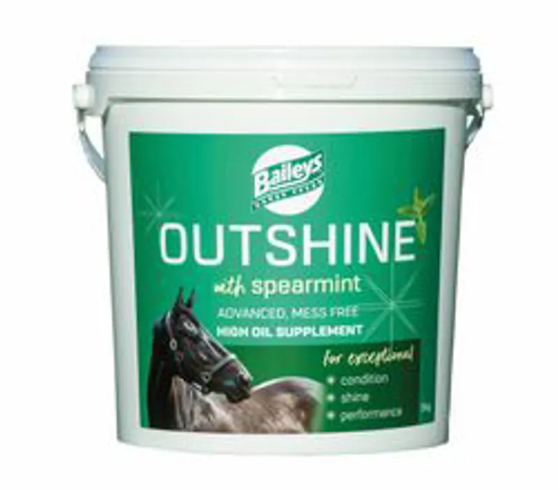 Baileys Outshine High Oil Supplement + Spearmint 5Kg